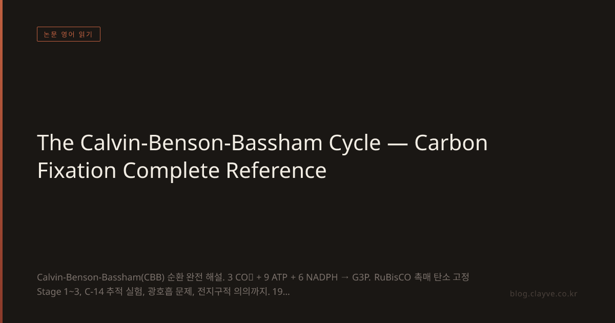The Calvin-Benson-Bassham Cycle — Carbon Fixation Complete Reference
